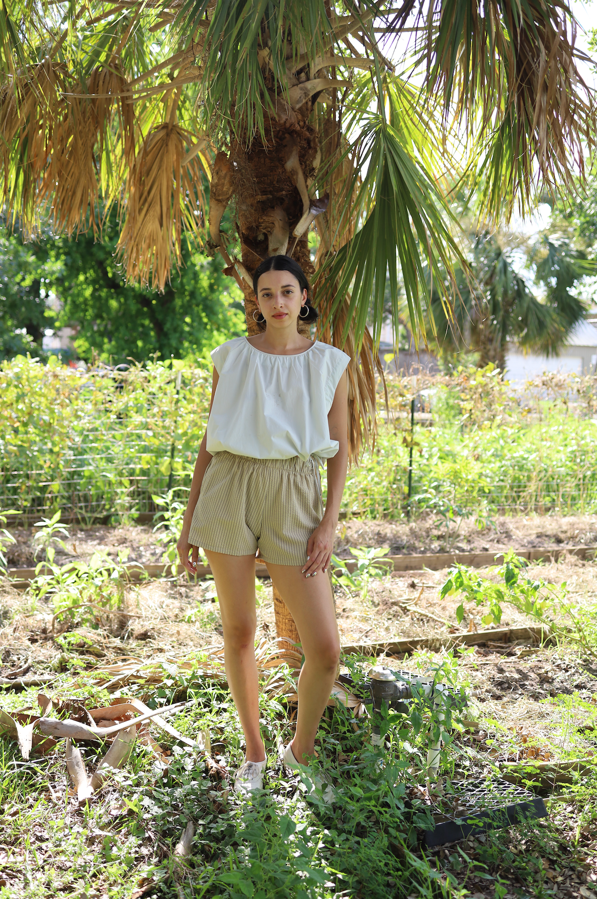 Anna Shorts in Brown Cotton Seersucker