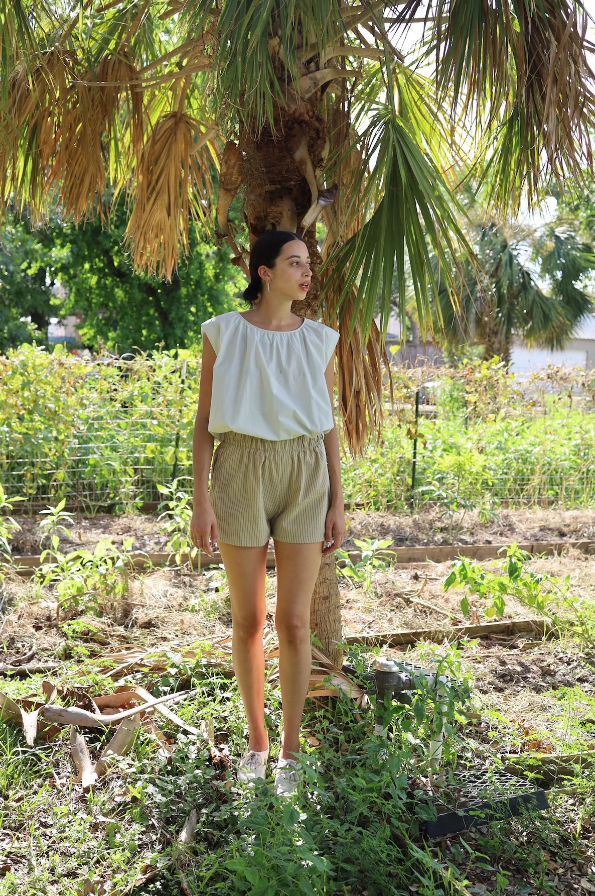 Anna Shorts in Brown Cotton Seersucker