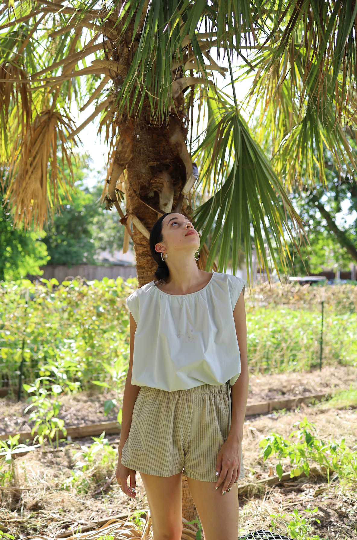 Anna Shorts in Brown Cotton Seersucker